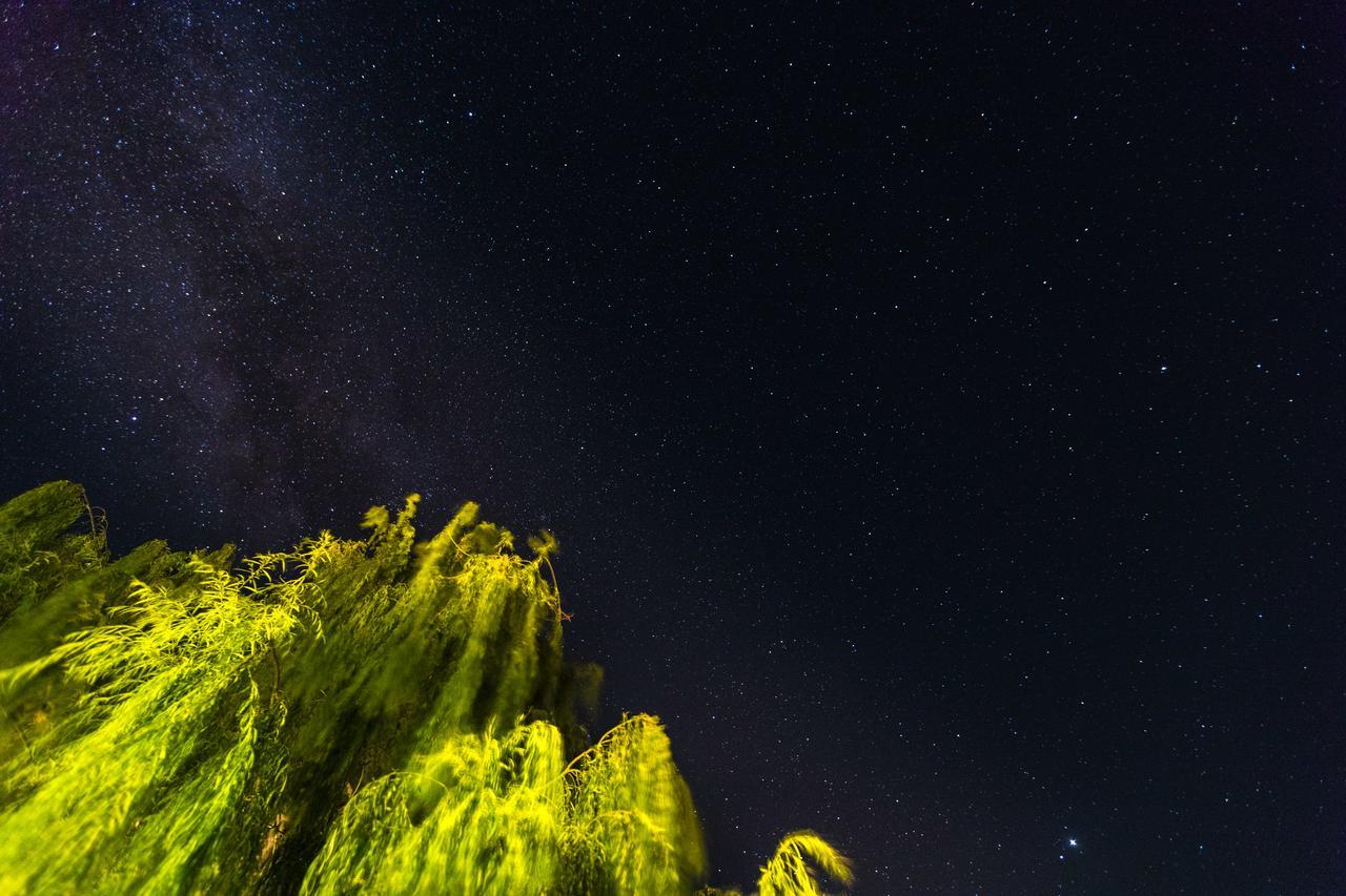 Dioni Hotel Skyros Bagian luar foto